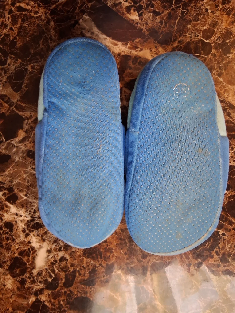Kids Blue Cartoon Watermelon House Shoes